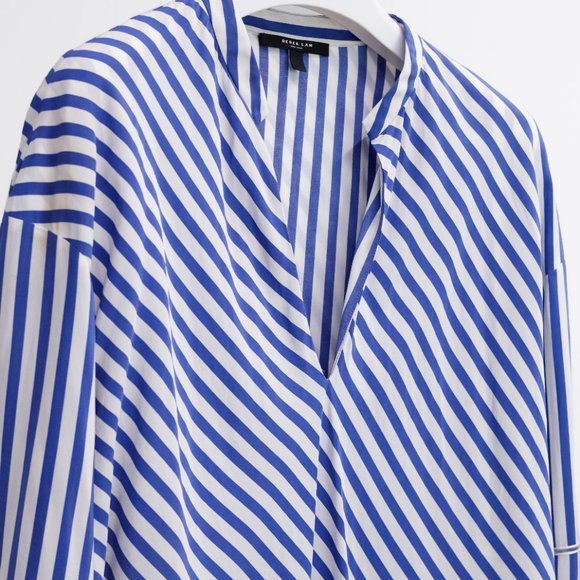 Derek Lam 10 Crosby White and Blue Striped Silk Lace-Inset Layered Blouse - Picture 4 of 11
